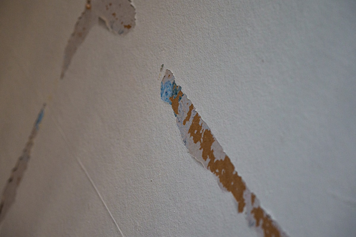 Water Extraction service in The Woodlands, TX